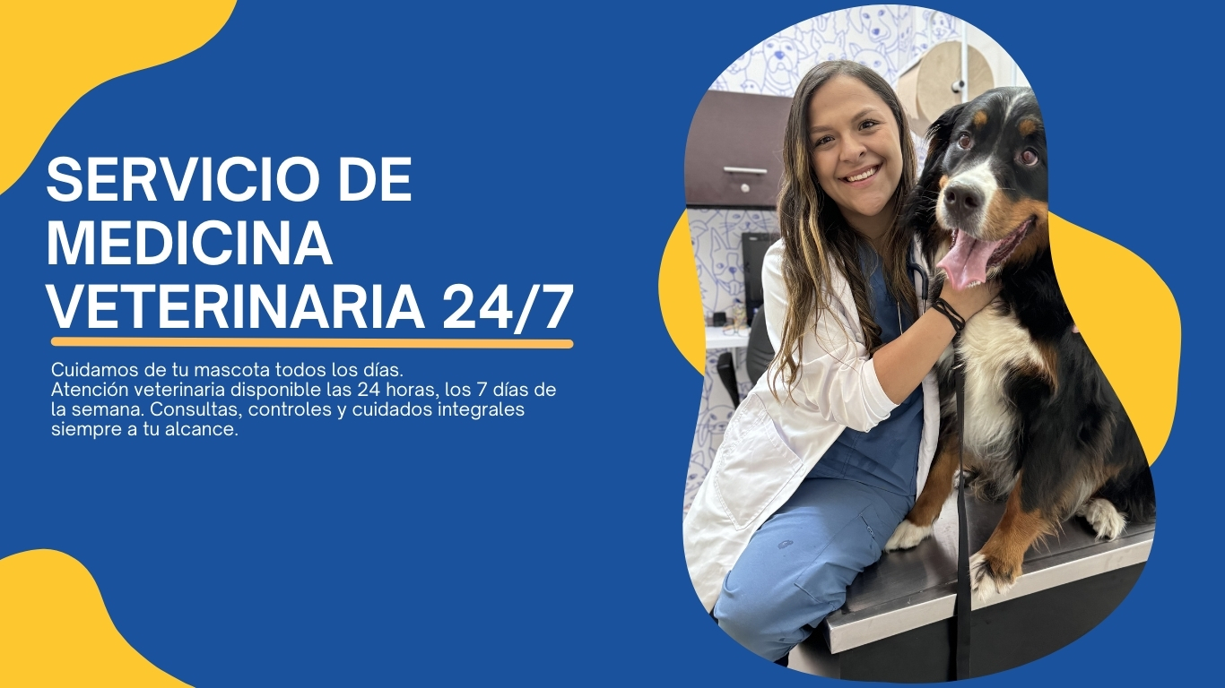SOMOS LA MEJOR CLÍNICA VETERINARIA DE BOGOTÁ (1)