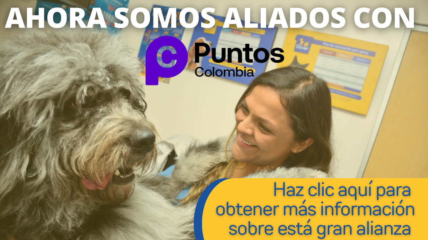 Sliders para pagina web
