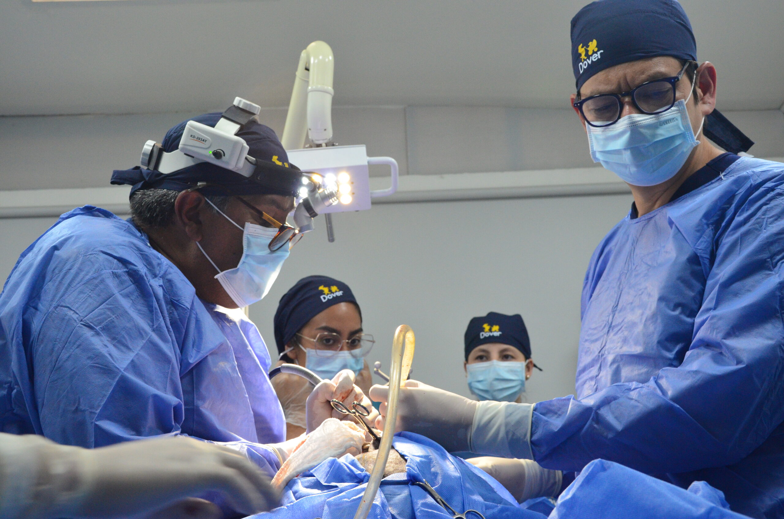 Equipo médico de Clínica Dover realizando una cirugía veterinaria especializada